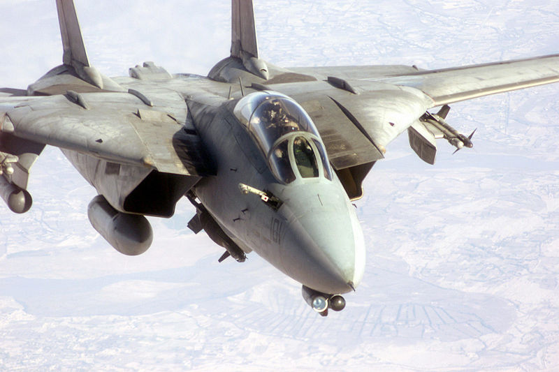 f-14 tomcat2.jpg