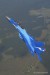 MiG-29K_main.jpg